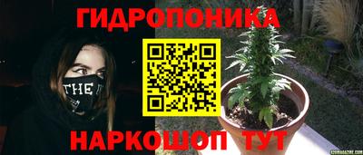 шишки Беслан