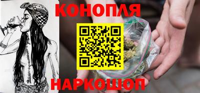 шишки Бийск